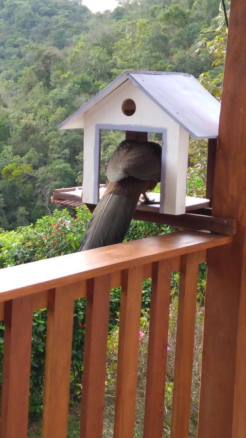 Casa Sossego Da Montanha Villa Visconde De Mauá Buitenkant foto