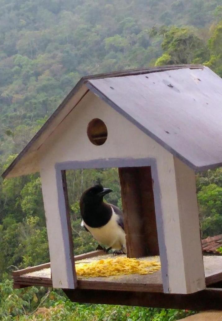 Casa Sossego Da Montanha Villa Visconde De Mauá Buitenkant foto