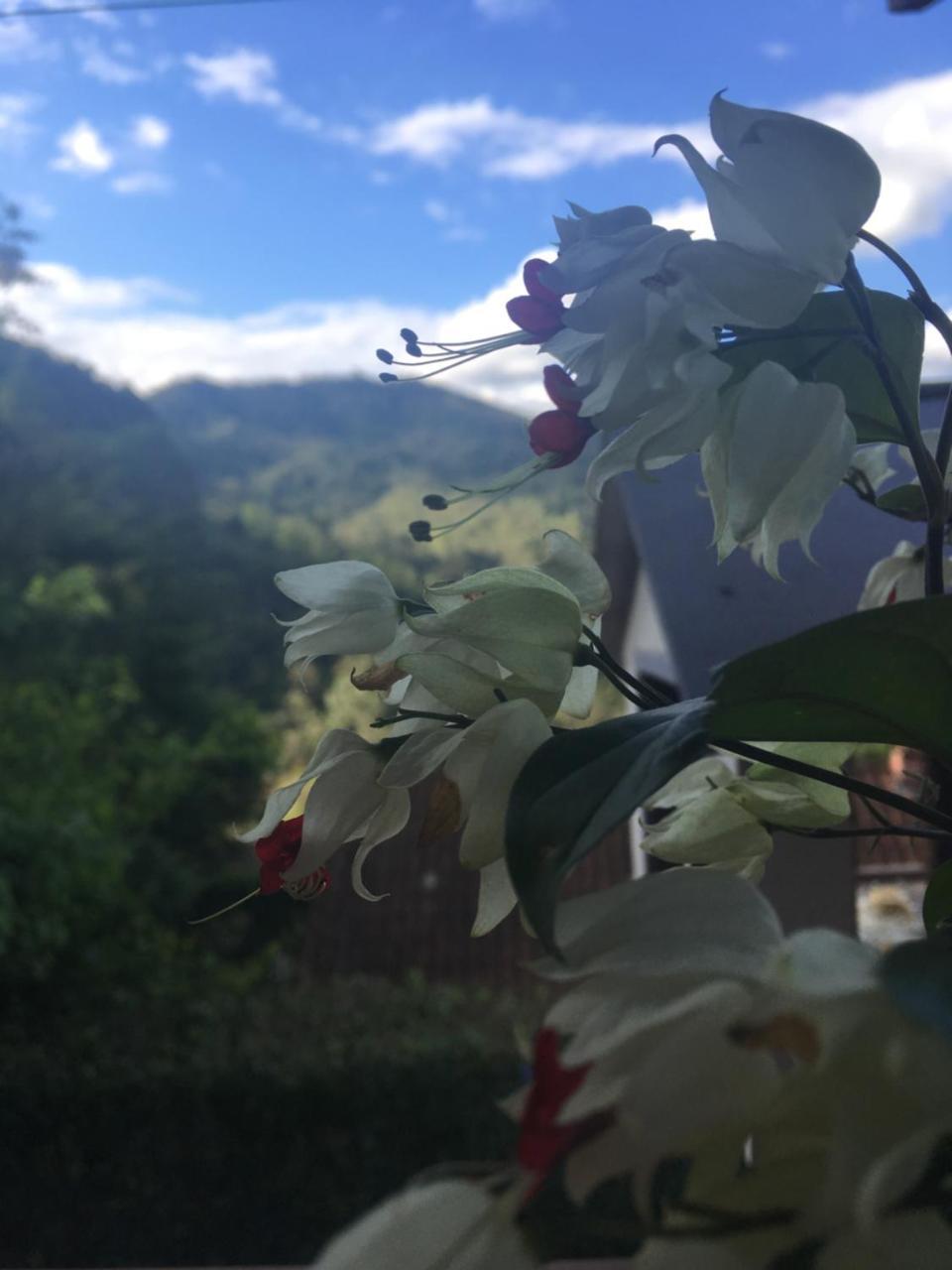 Casa Sossego Da Montanha Villa Visconde De Mauá Buitenkant foto